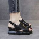  Black-Adjustable